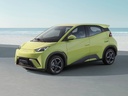 DOLPHIN SURF EV
