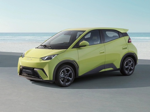 BYD DOLPHIN SURF